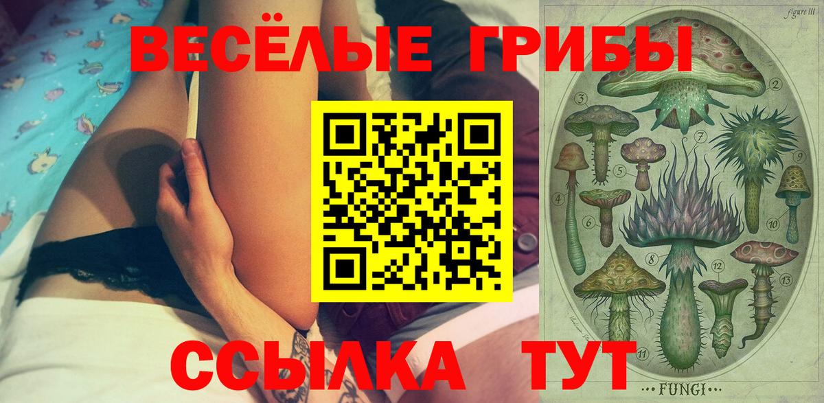Галлюциногенные грибы Psilocybine cubensis  Вход с VPN  Галлюциногенные грибы Psilocybe  Крымск 